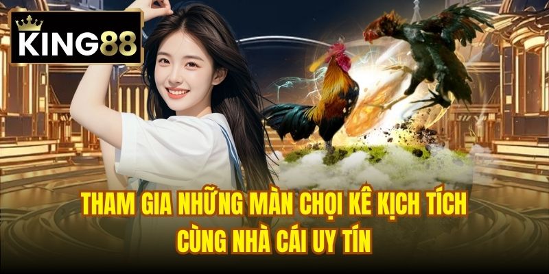 Tham gia những màn chọi kê kịch tích cùng nhà cái uy tín